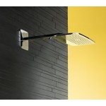 Потолочная душевая лейка Hansgrohe Raindance Е 360 EcoSmart с держателем